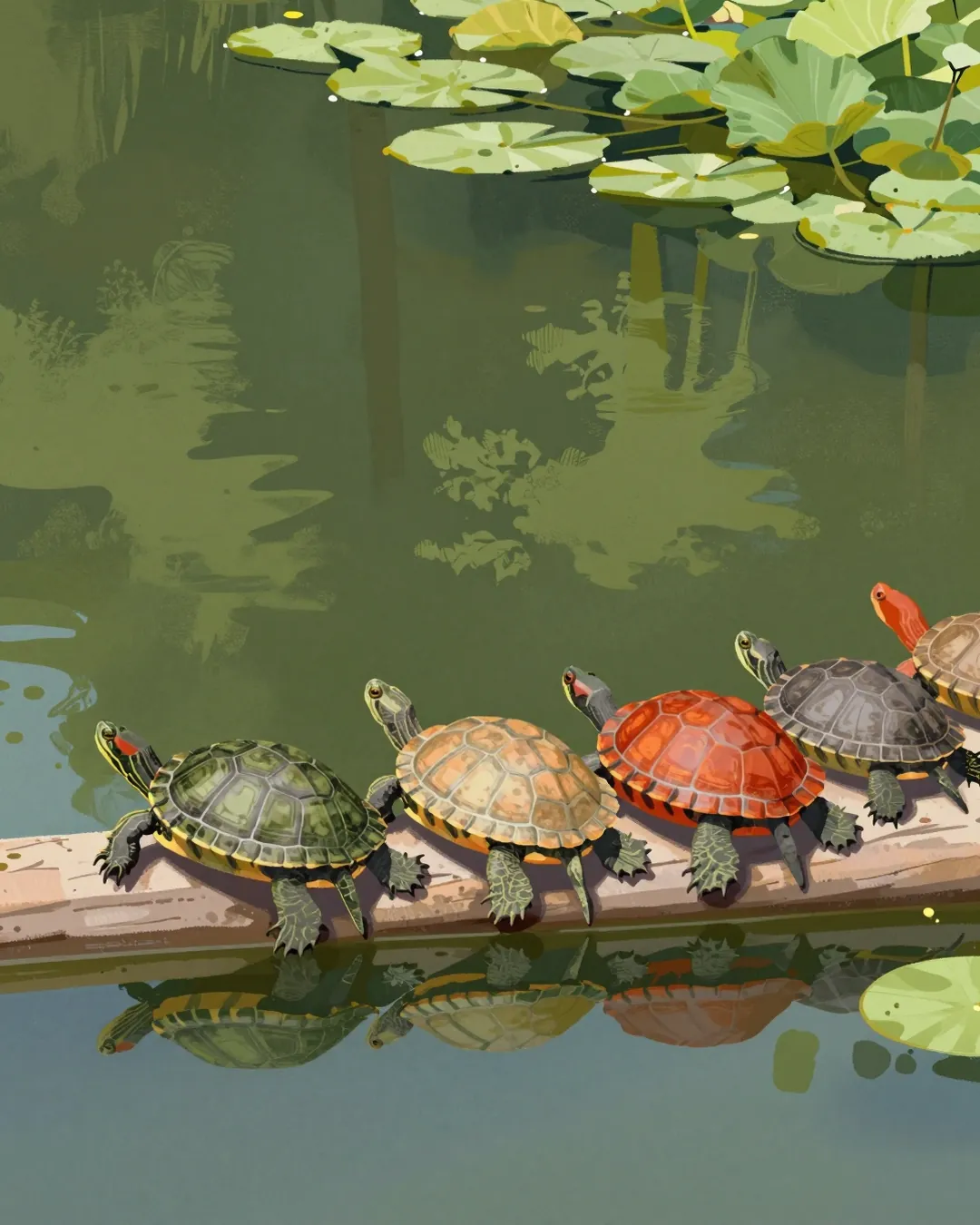 as tartarugas do Jardim Felicidade estavam todas no tronco hoje. levem as crianças!